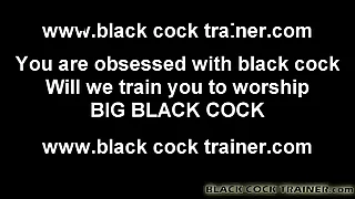 I need a beamy black cock for my mean shemale ass